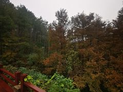 -四明湖