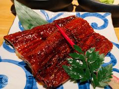 -Hatsune隐泉日式料理(SKP店)