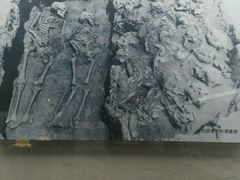 -包头博物馆