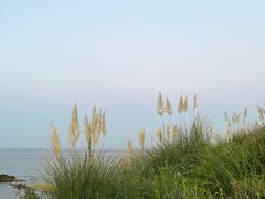 -小麦岛公园