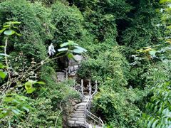 -鼎湖山风景区