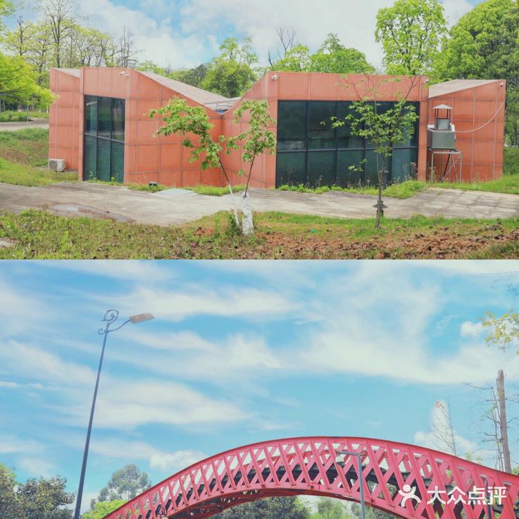 误入成都版森林公园🏠打卡童话小木屋!