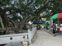 -小洲村