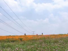 -紫颐香薰山谷景区
