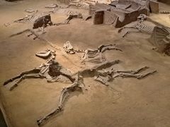 -洛阳周王城天子驾六博物馆