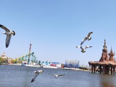 -大连海昌发现王国主题公园