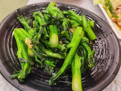 生炒连州菜心-粤·向群饭店(龙津东路总店)