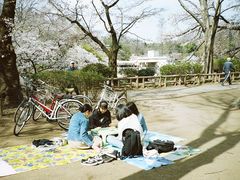 -井之头恩赐公园