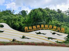 -西双版纳原始森林公园