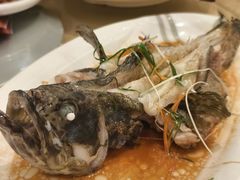 -梅园酒店餐厅(西湖店)