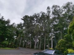 -福建鲤鱼洲酒店