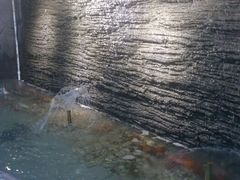 android_upload_pic-小科自助海鲜烧肉(高区店)
