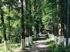 -花溪公园