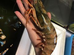 -ZF Seafood Restaurant 卓峰海鲜餐