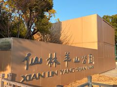 -羊山湖公园