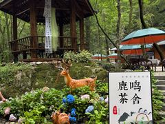 -牛背梁国家森林公园