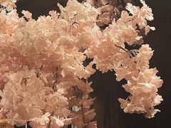 -白兔子密室(长寿路店)