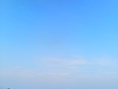 -亚心花海主题乐园