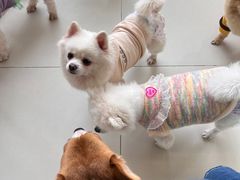 -怪兽屋·羊驼·猫咖·狗咖(俊华广场店)