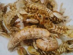 -望海潮海鲜店 特色家常菜(在海一方店)