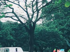 -南沙天后宫景区