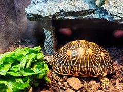 -上海海洋水族馆