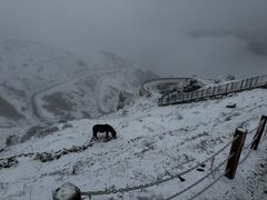 -牛背山