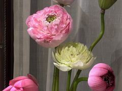 -鲜芋仙(大兴龙湖店)