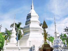 -西双版纳原始森林公园