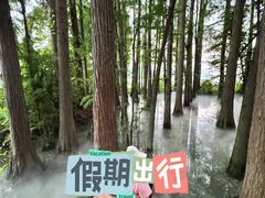 -东湖落雁景区