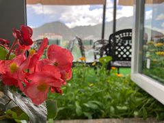 -玫瑰西餐厅.意面披萨.牛排咖啡