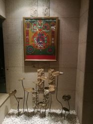 -广州萨谛艾扬格瑜伽中心