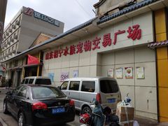 -山东柏宁水族批发广场