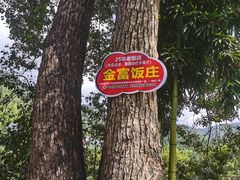 -芦茨金富饭庄·25年老字号·专做稻草鸡