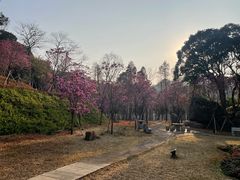 -西樵山风景名胜区-天湖公园