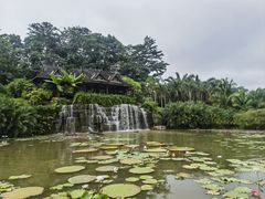 -中国科学院西双版纳热带植物园