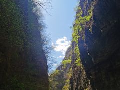 -野三坡百里峡景区