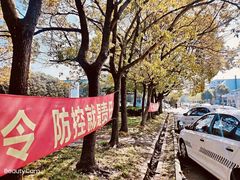 -胜华驾校·小猫学车(银都店)