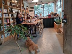 -Cafe In Little Forest