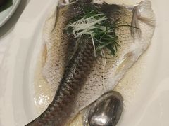 -稻香酒家·34年老字号·港式粤菜(侨光店)