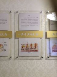 -紫洁俪方（北京）医疗美容