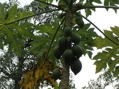 DSC00245-南中国大酒店