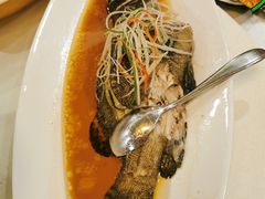 -新龙船黄浦江餐饮游船官方自营店