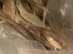 -杨震卤菜旗舰店