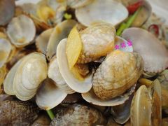 -海岛渔村大酒店(云霄路店)