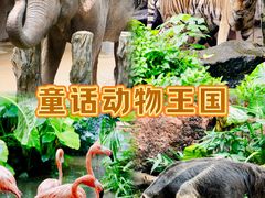 -长鹿旅游休博园