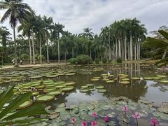 -中国科学院西双版纳热带植物园