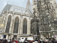-斯蒂芬主教座堂(Stephansdom)