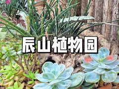-上海辰山植物园