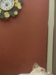 -雅曼妮spa美容养生